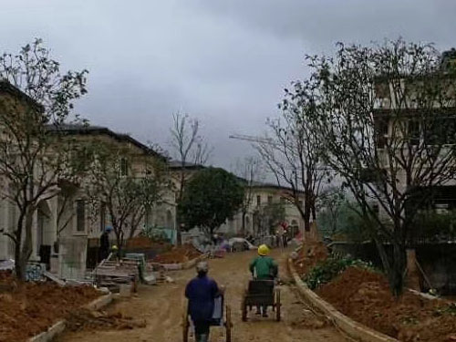 園林綠化工程施工，園林綠化養(yǎng)護，別墅庭院綠化