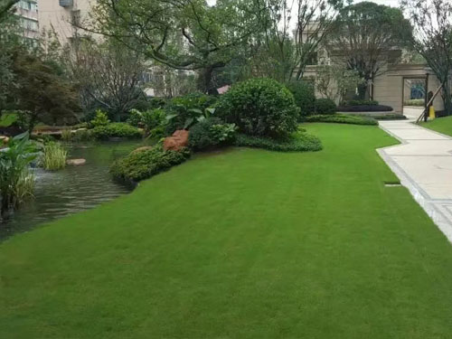 園林綠化工程施工，園林綠化養(yǎng)護，別墅庭院綠化